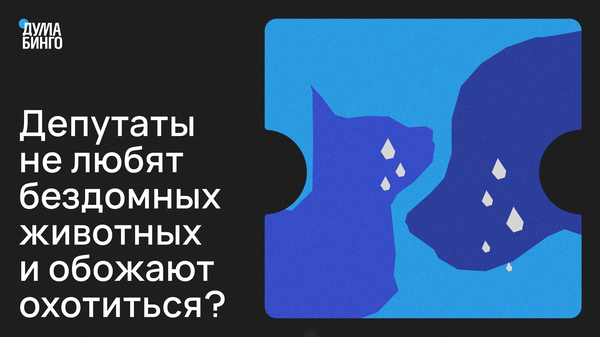 Депутаты не любят бездомных животных и обожают охотиться?